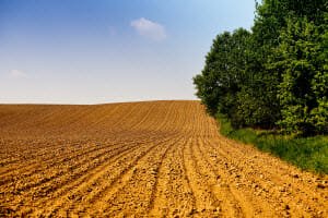 bankruptcy for farmers